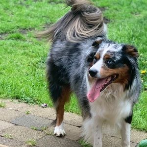 Meet your Posher, Molly